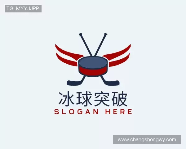 介绍冰球突破最新地址